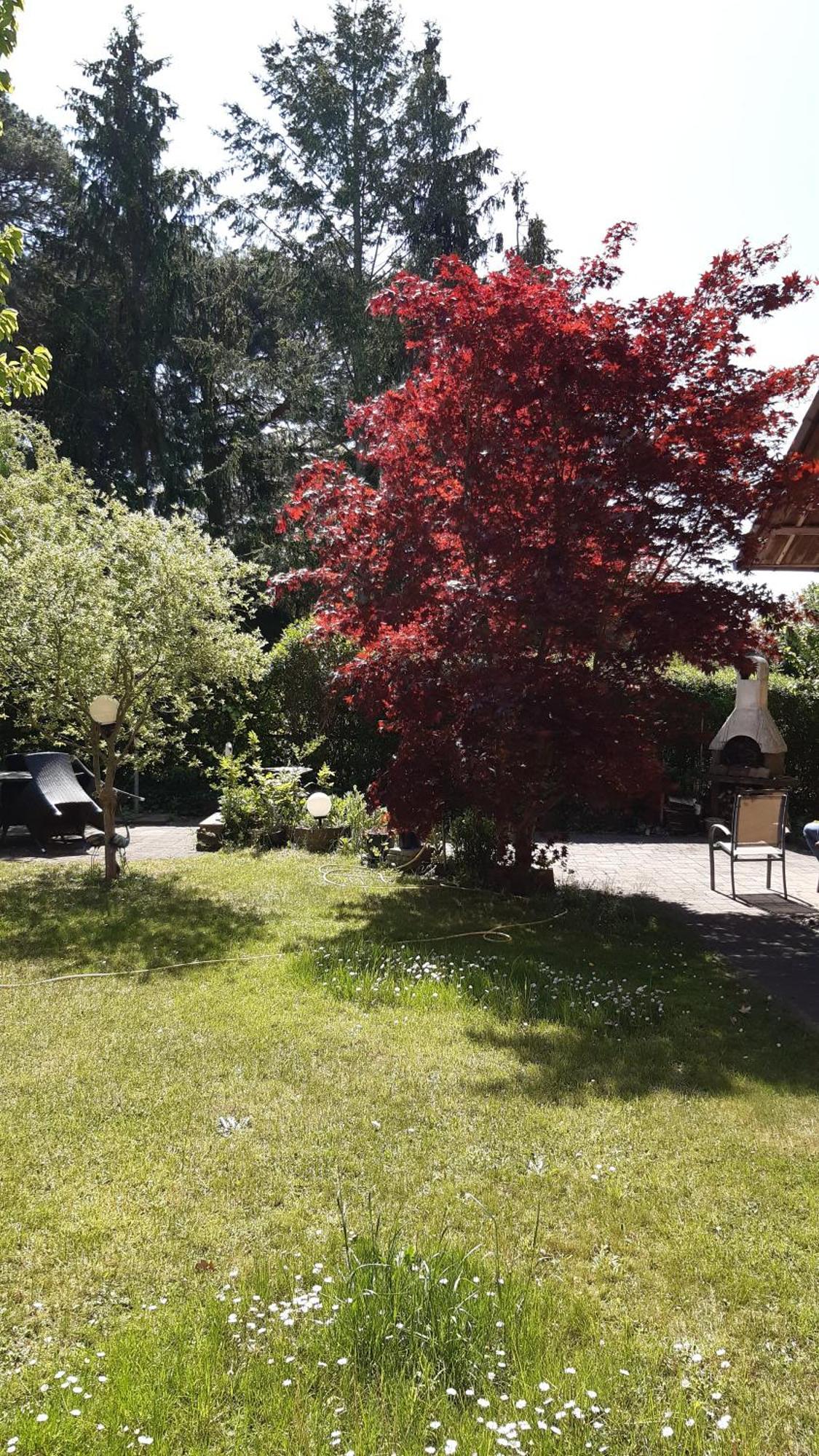 Ferienwohnung Luise, Gemuetlich, Freundlich Und Ganz Nah An Berlin Oranienburg Esterno foto
